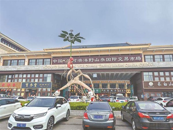 永宝网 东北边境小城集安：“三驾马车”驱动 人参产业跑出加速度