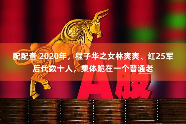 配配查 2020年，程子华之女林爽爽、红25军后代数十人，集体跪在一个普通老